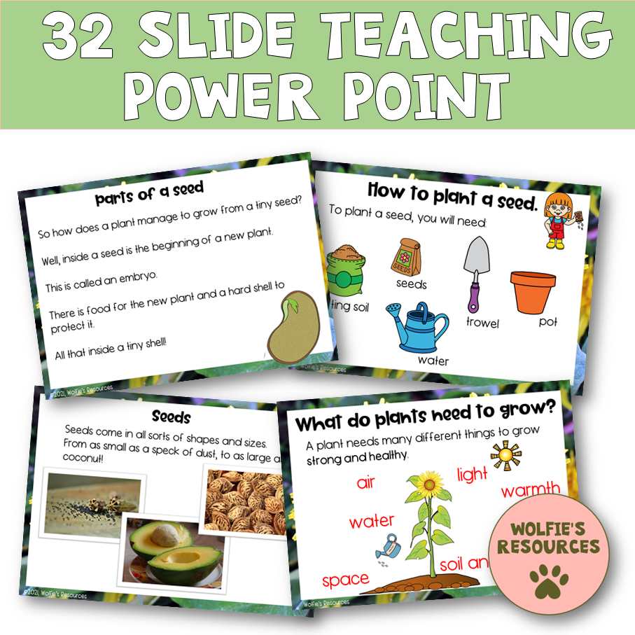 Thumbnail: Plants Power Point And Activities Year 2