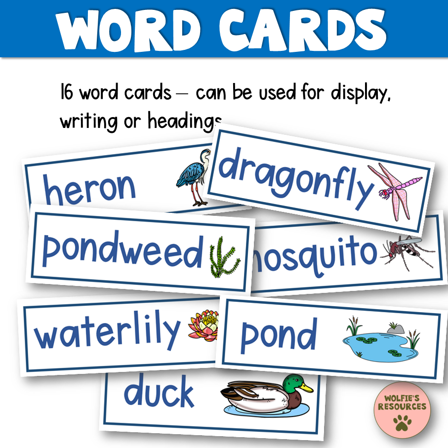 Thumbnail: Pond Life Activities KS1