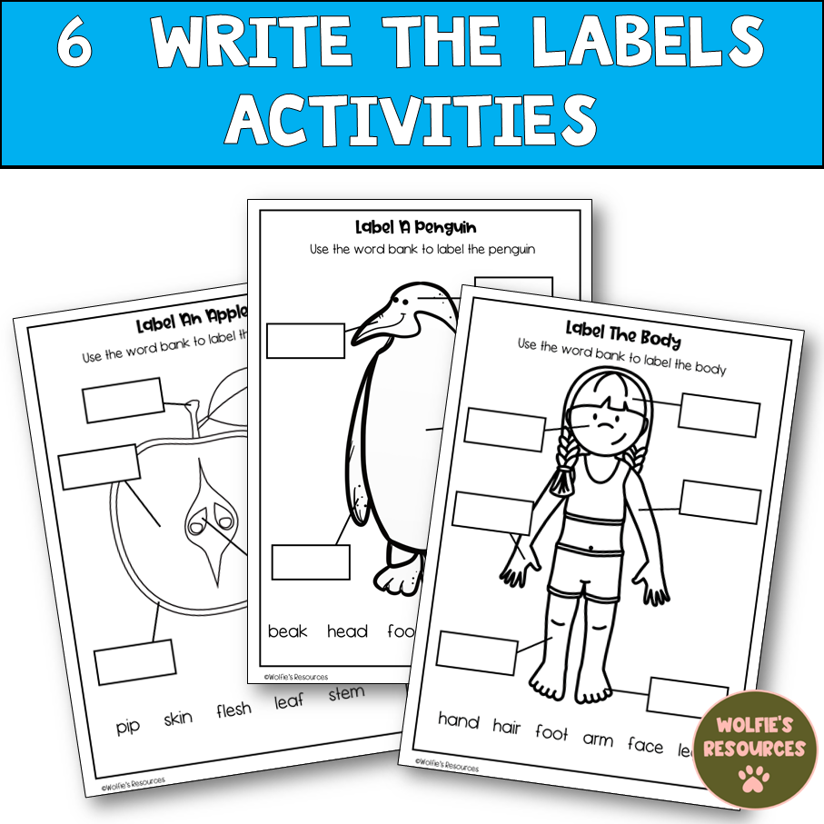 Thumbnail: Science Worksheets