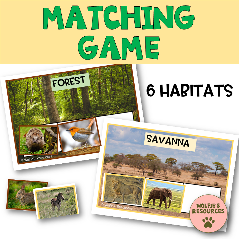 Thumbnail: Animals And Habitats Activities