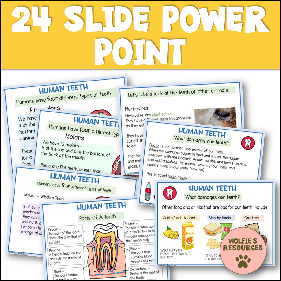 Thumbnail: Teeth Year 4