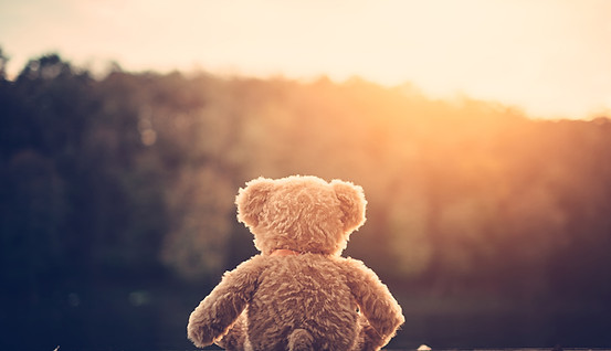 Teddy Bear Outdoors