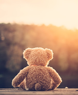 Teddy Bear