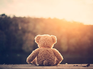 Teddy Bear