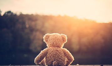 Teddy Bear