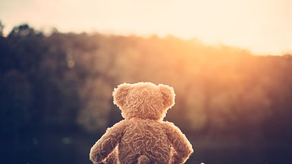 Teddy Bear