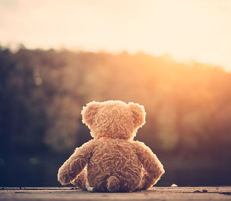 Teddy Bear