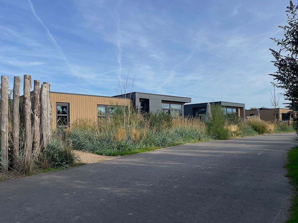 De Zeeuwse Duinen planologie en chalets