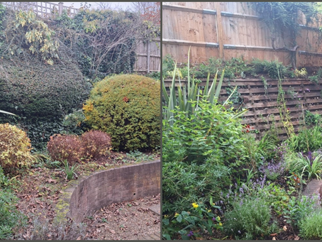 Adam's Wildlife Oasis - Ongoing Project