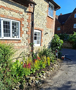 Small planting scheme