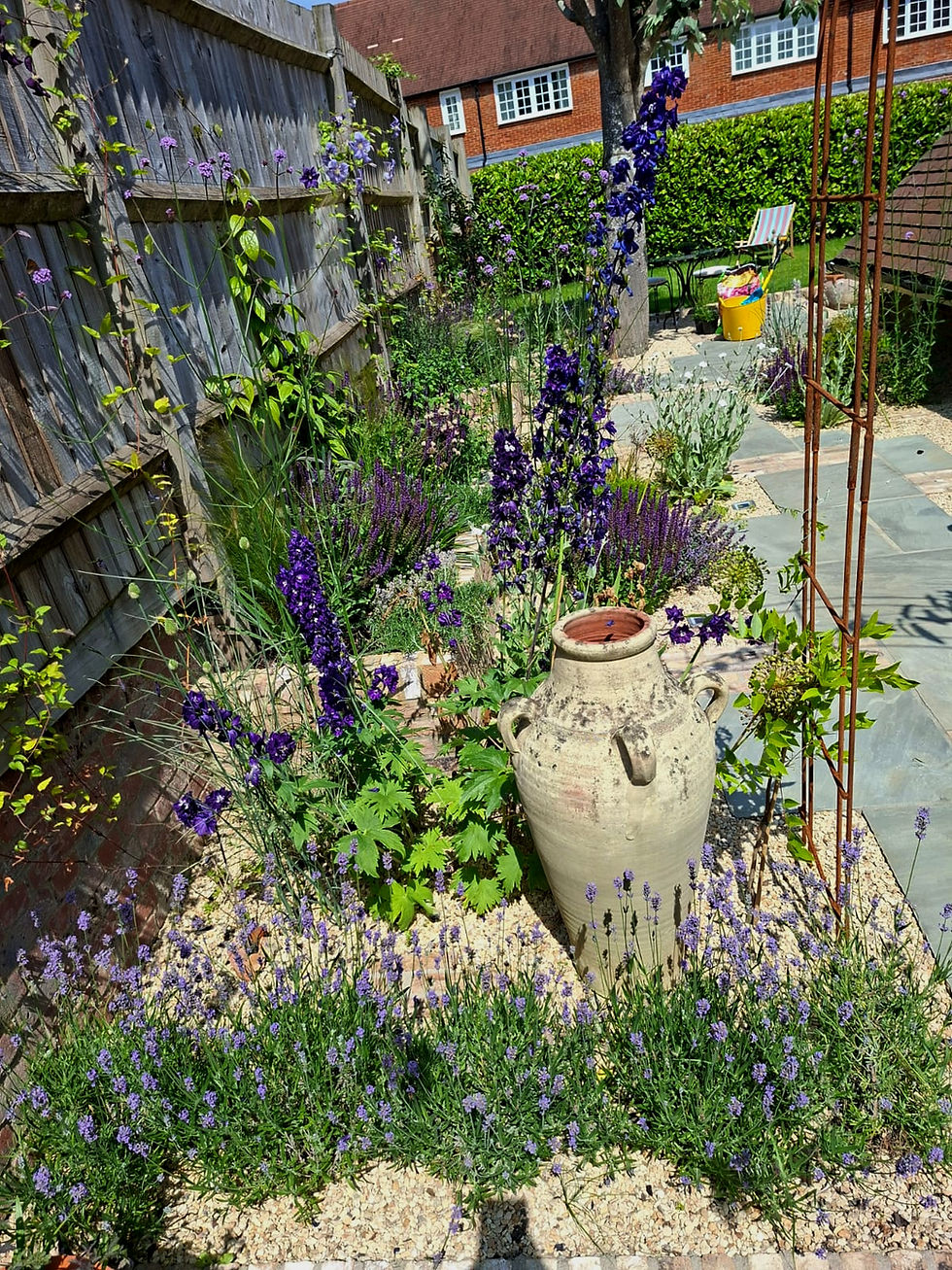 A garden we planted in Lower Froyle