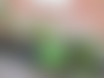 Helping the environment from your doorstep