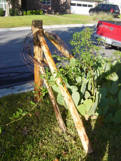 Cedar post corner 177.JPG