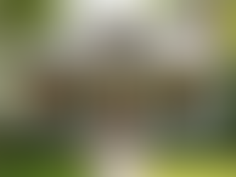 Revamp Your Home: Top Trends in Exterior Painting