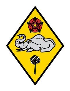 Coat of Arms of Pamela Neroni designed by Konio Heraldry & Heritage