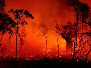 Incêndio na região da Cavalcante-GO