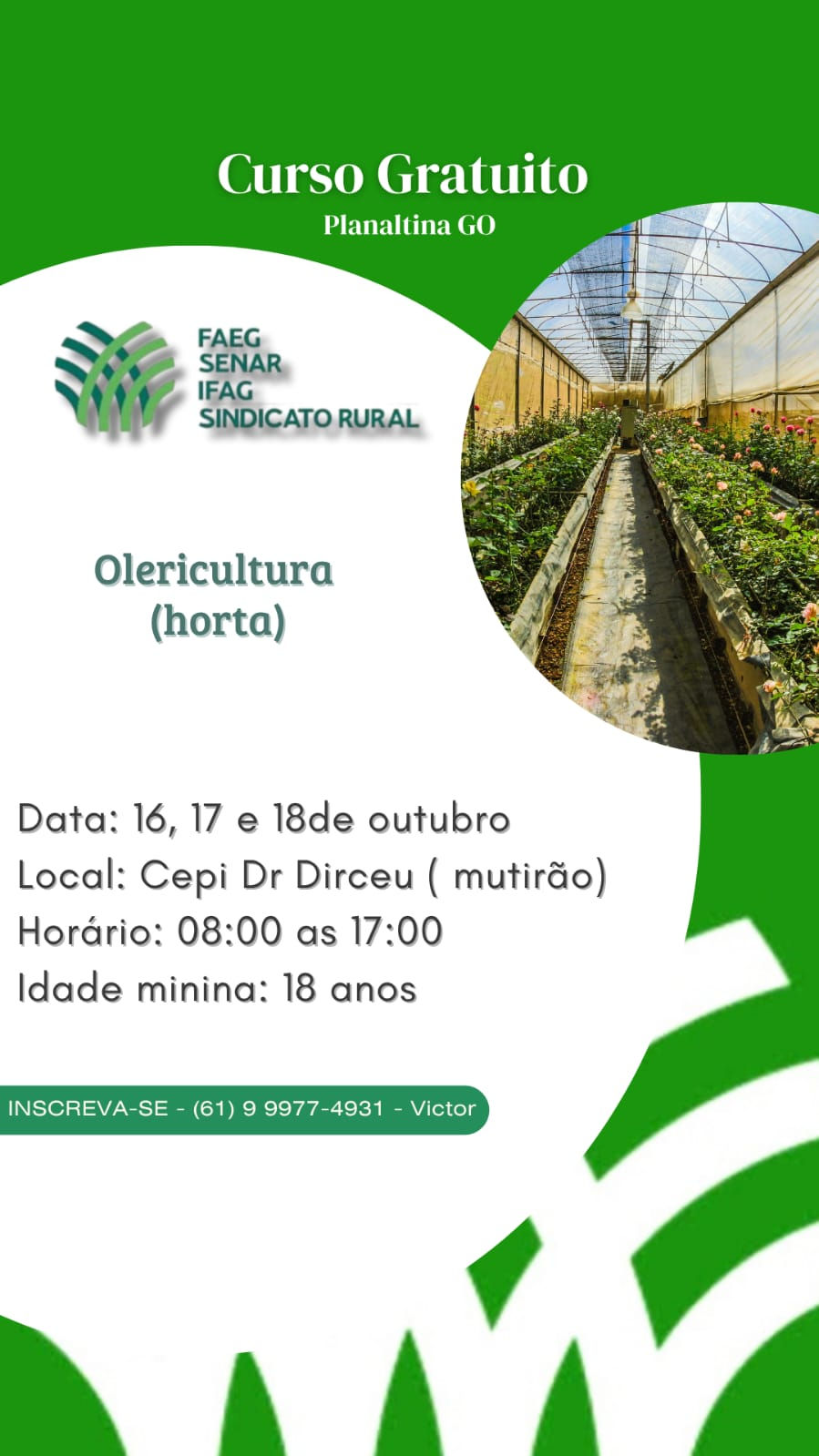 Parcerias de Sucesso: CEPI Doutor Dirceu Ferreira de Araújo promove curso gratuito de Olericultura em parceria com o SENAR e instituições locais