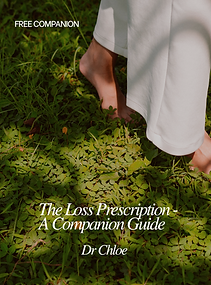 FREE COMPANION-2.png