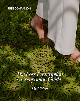 FREE COMPANION-2.png