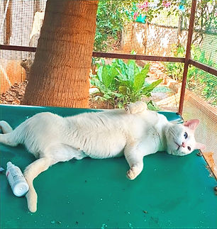 WhatsApp Image 2025-09-12 at 19_edited.jpg