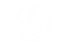folha.png
