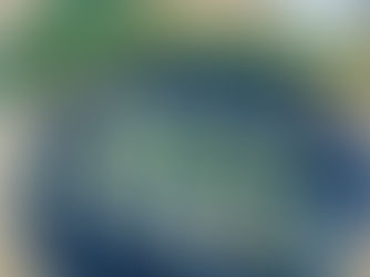 Gefrorene Selleriestangen mit Blaubeeren