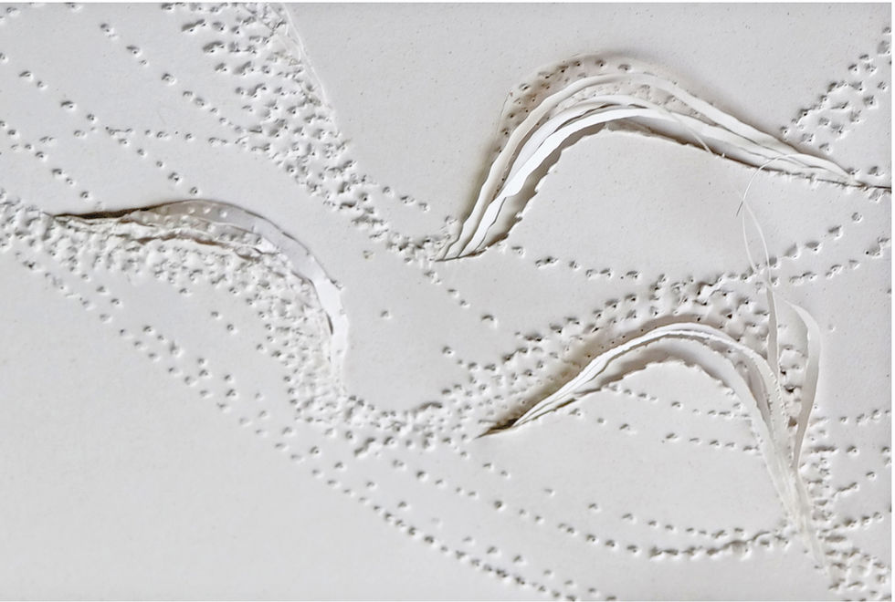 Seaweed-based paper sculpture exploring organic wave forms created by paper artist Anna Normand