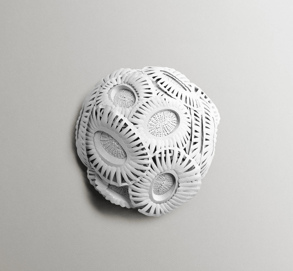 Bas-relief en papier inspiré de la microalgue Emiliania huxleyi pour Maria Galland