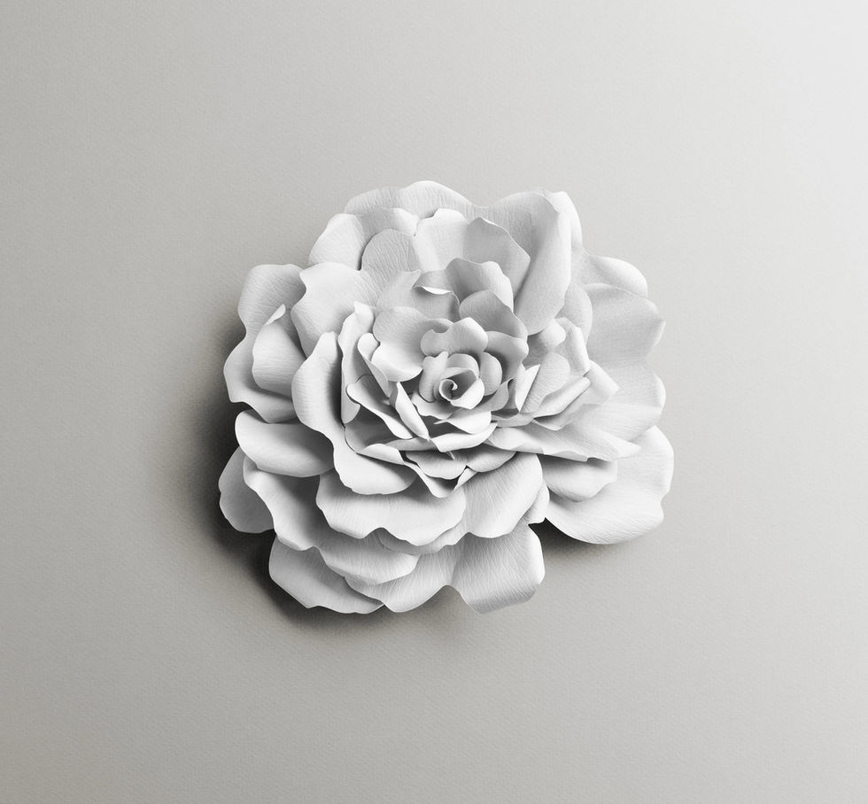 Rose de Damas sculptée en bas-relief sur papier pour Maria Galland