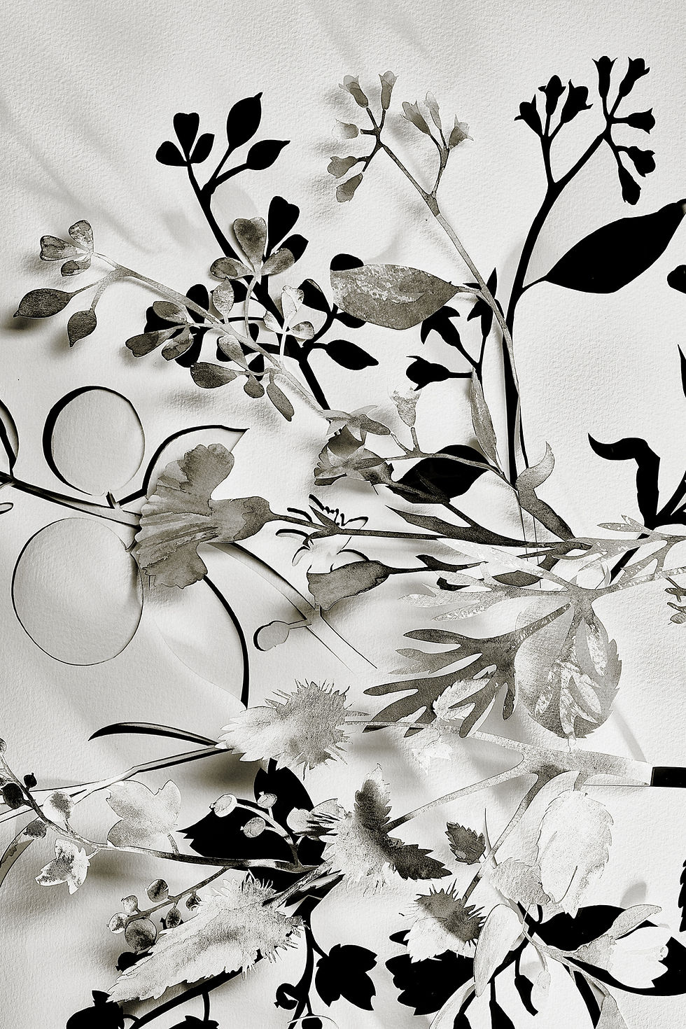 Scénographie végétale en papier découpé | BDK Parfums