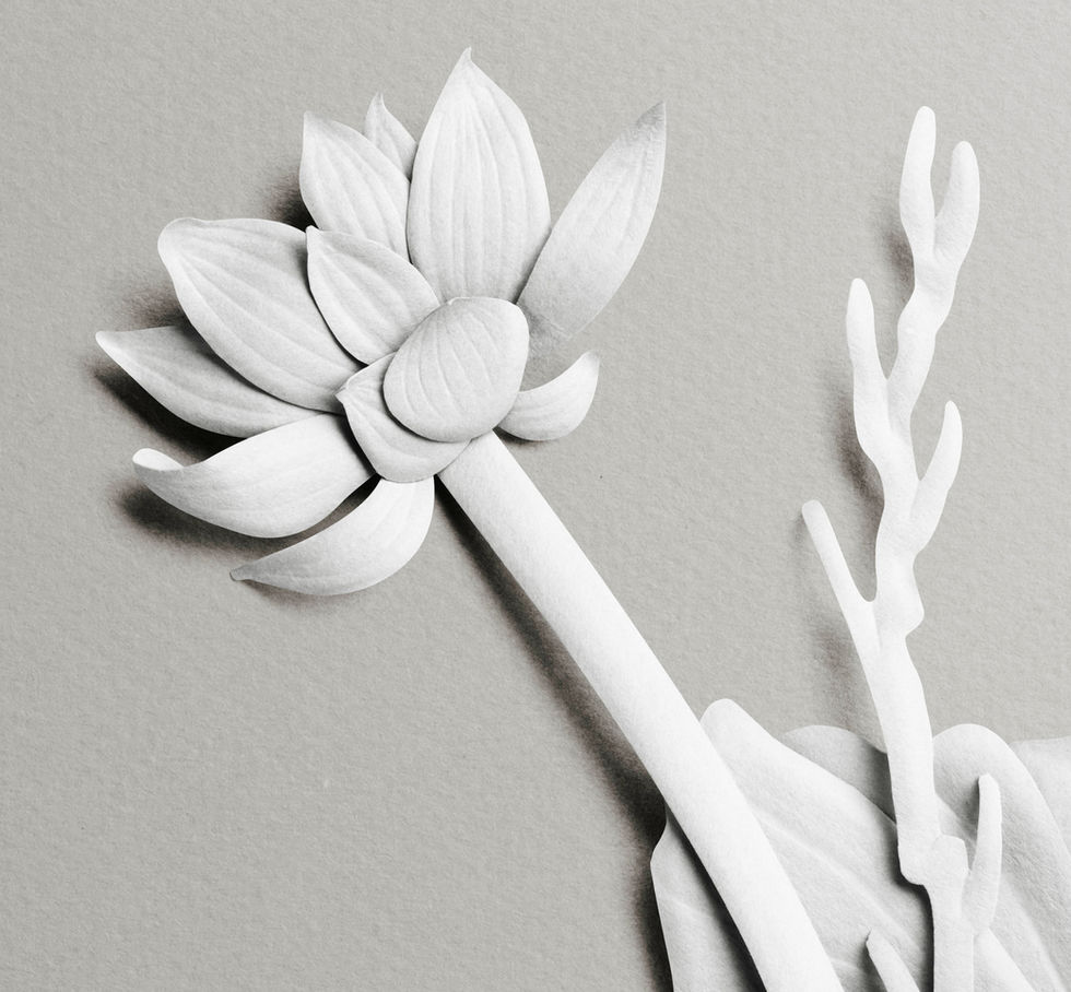 Fleur de lotus sculptée en bas-relief sur papier pour une campagne Maria Galland