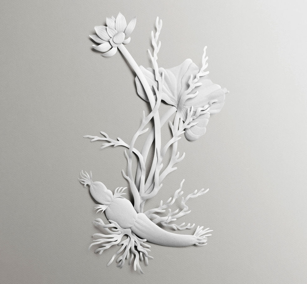 Sculpture en papier représentant un lotus, ses feuilles et sa racine pour une campagne cosmétique Maria Galland