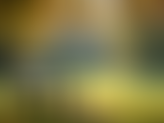 Three Compelling Reasons Why Honesty Should Be Your Guiding Principle