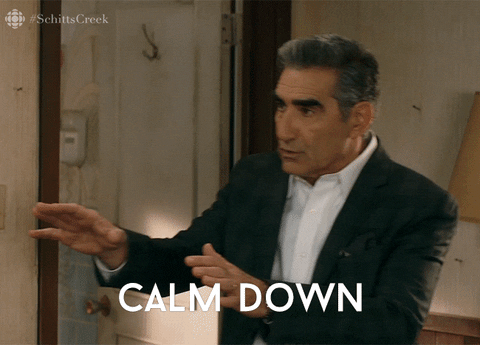 giphy (1).gif
