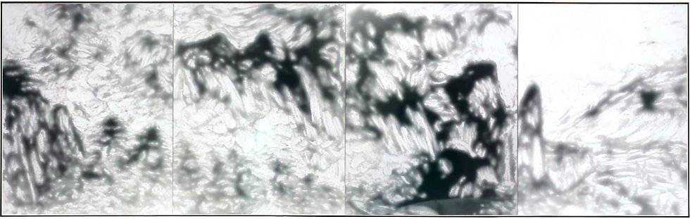 Calla LUI Chu-Ying Painting copy