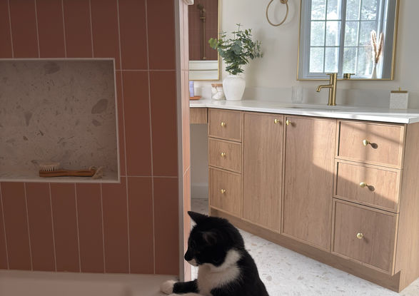 Quand même le chat veut prendre son bain... projet Chemin des Anglais