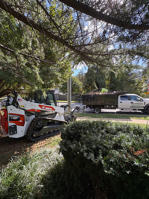 bobcat.HEIC
