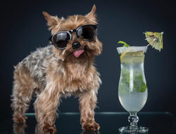 9e38de91-2206-46ff-9bf2-1d4b4cc1ae90