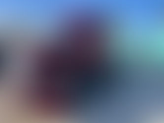 Christsenson Transportation Logitics Services making a delivery