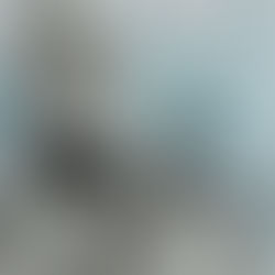 Kan vores hjerner være i en robot