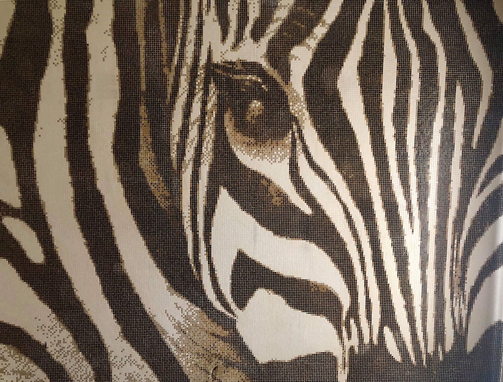 ZEBROO