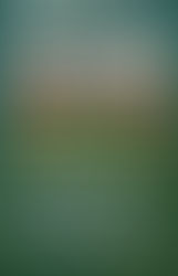 May 19, 2025