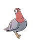 Pigeons.png