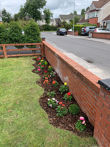 flower bed.jpg