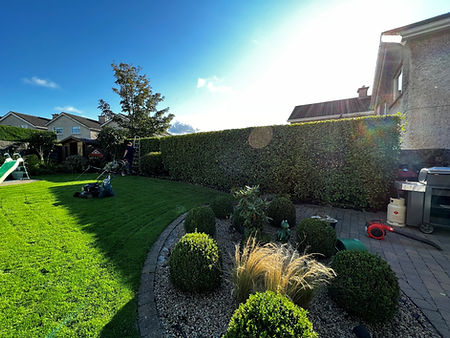 dons garden.jpg
