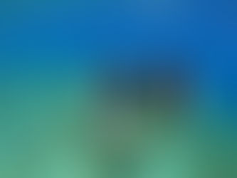 Discover the Wonders of the Sea With Scuba Diving Classes