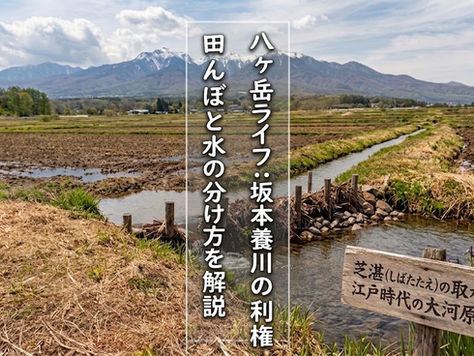 田んぼ付きの土地の水は、誰が分けている?——江戸の堰がいまも当番表で動く八ヶ岳西麓