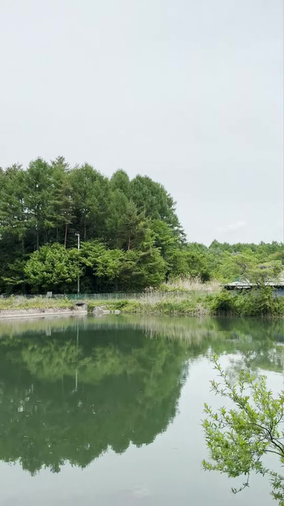 茅野市玉川菖蒲ヶ沢11398他