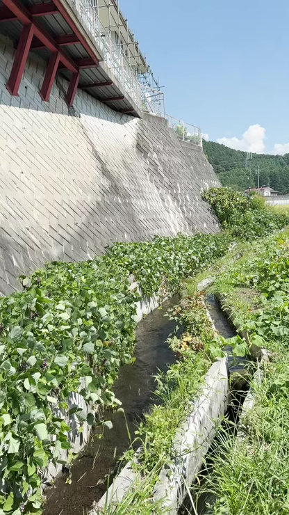 茅野市玉川字餅󠄀田1499番1