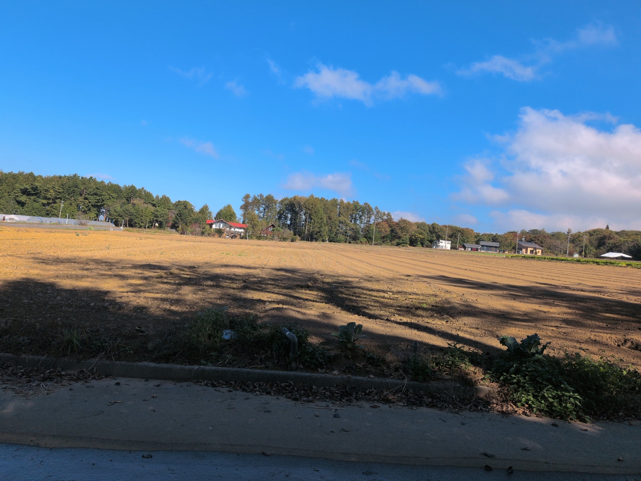 道路側から見た原村南深山の畑全景